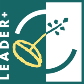 Leader logo